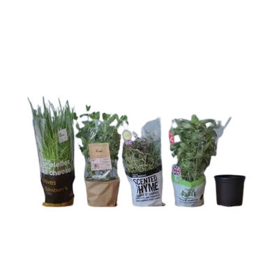چاپ سفارشی پوشه های فیلمی شفاف BOPP برای پوشاندن گل و گیاهان