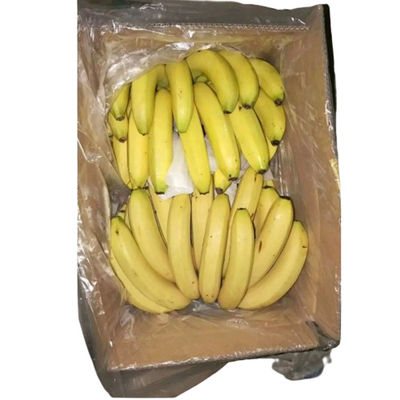 کیسه های پلاستیکی کارتن موز PE کیسه سوراخ شده برای میوه